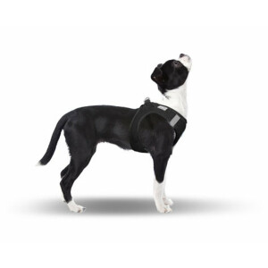 CURLI Brustgeschirr Plush Vest AIR-MESH black für Hunde M (41 - 45cm)