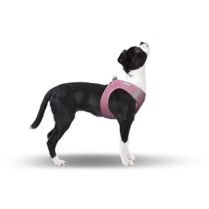CURLI Brustgeschirr Plush Vest AIR-MESH pink für Hunde