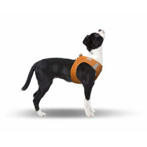 CURLI Brustgeschirr Plush Vest AIR-MESH orange für Hunde M (41 - 45cm)