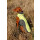 KARLIE TOUCHDOG Hundemantel OUTDOOR gelb CRASH COAT Gr. 2XL (56cm-78cm-46cm)