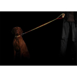 KARLIE Nylonführleine ART SPORTIV TATTOO 200cm fluoreszierend für Hunde