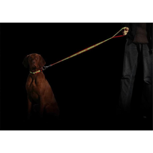 KARLIE Nylonführleine TATTOO 200cm fluoreszierend für Hunde Rot 200cm/15mm