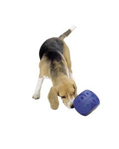 buster cube for dogs