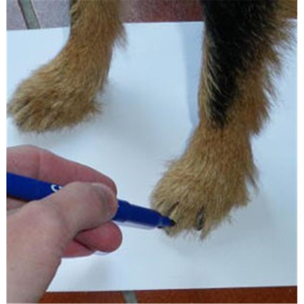 DOGGUSTI Hundeschuhe PFOTENSCHUTZ Naturlatex wasserdicht futtersche