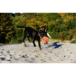 CHUCKIT Fussball KICK FETCH Nylon Kautschuk schwimmt für Hunde 19cm L