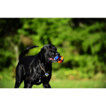 CHUCKIT Spielball ULTRA TUG mit Handschlaufe 5cm S Kautschuk robust für Hunde