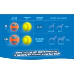 CHUCKIT Spielball ULTRA BALL Kautschuk extrem robust schwimmt für Hunde