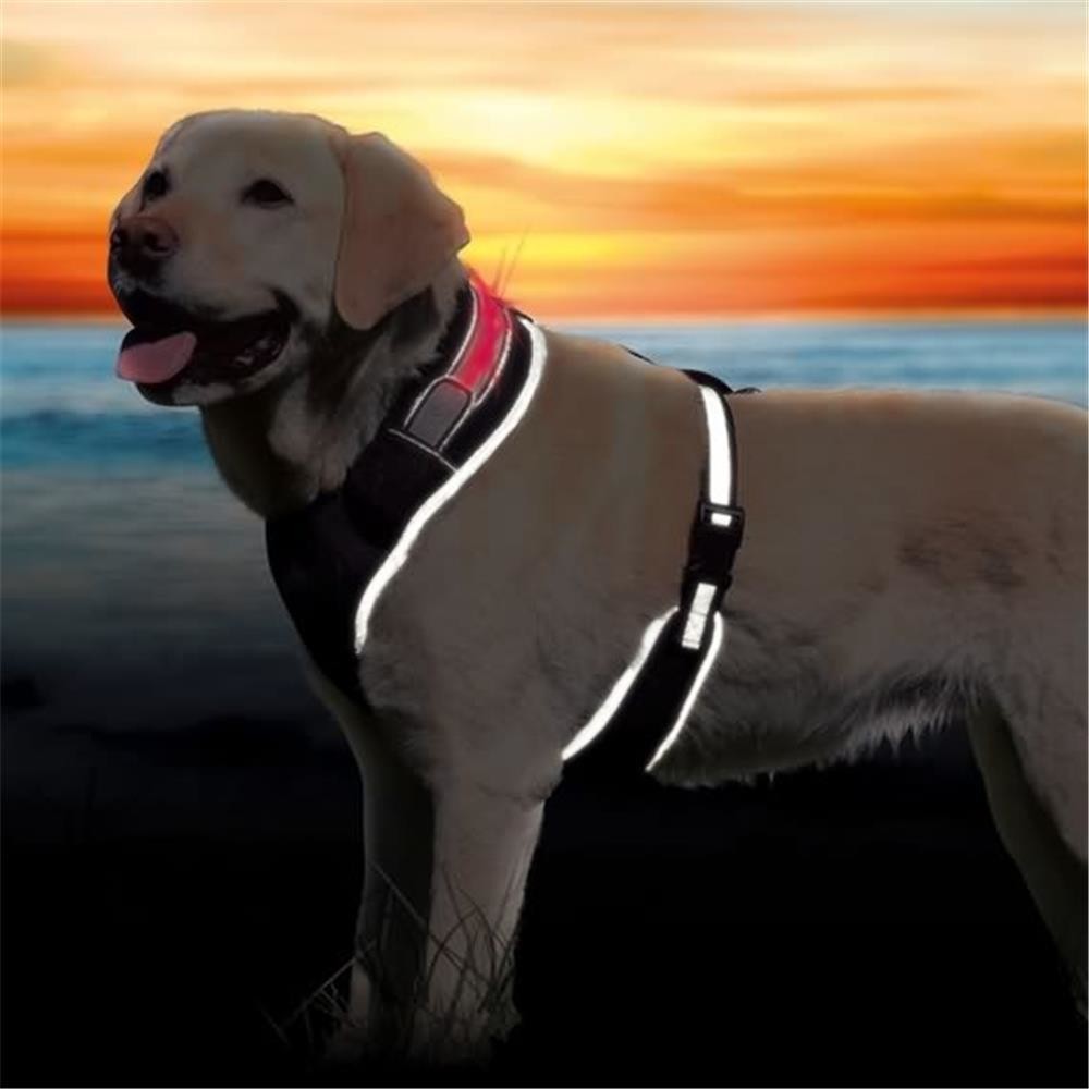 TRIXIE Softgeschirr SAFER LIFE FLASH schwarz mit Licht für Hunde fu