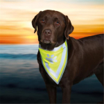 TRIXIE Sicherheits-Halstuch SAFER LIFE gelb für Hunde Gr. S-M