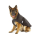 KARLIE Hundemantel OUTDOOR 2 in1 schwarz herausknöpfbares Innenfutter 48cm