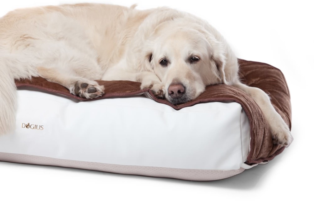 DOGIUS Liegekissen KISSEN KUNSTLEDER Größe S 60x40x6cm für Hunde fu