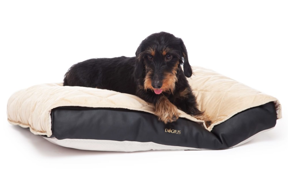 DOGIUS Liegekissen KISSEN KUNSTLEDER Größe L 74x56x9 cm für Hunde f