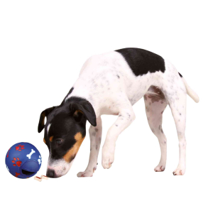 TRIXIE Spielzeug DOG ACTIVITY SNACKBALL Kunststoff ø 7cm sortiert für Hunde