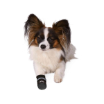 TRIXIE Schuhe Pfotenschutz WALKER CARE COMFORT Größe S 2 St Softshell für Hunde