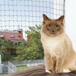 TRIXIE Nylon SCHUTZNETZ drahtverstärkt 8 x 3m...