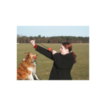 KARLIE FLYING STAR Durchmesser 6cm farblich sortiert für Hunde