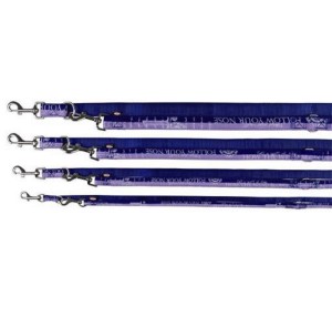 TRIXIE V-Leine Modern Art Follow your Nose XS-S 2,00 m/15 mm blau/lila für Hunde