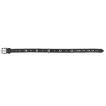 TRIXIE Halsband ACTIVE Leder Strassbesatz M 39-46cm 22mm...