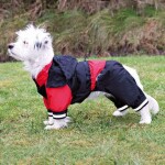 TRIXIE Hundemantel Regenkombi Cayres teilbar S 35cm schwarz/rot
