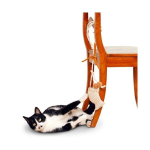 KARLIE Naturspielzeug SISAL FLEETY 3 mit Catnip 119cm für Katzen