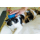 PET+ME Bürste CAT Kurzhaar Bürste Silikon 12cm blau für Hunde und Katzen